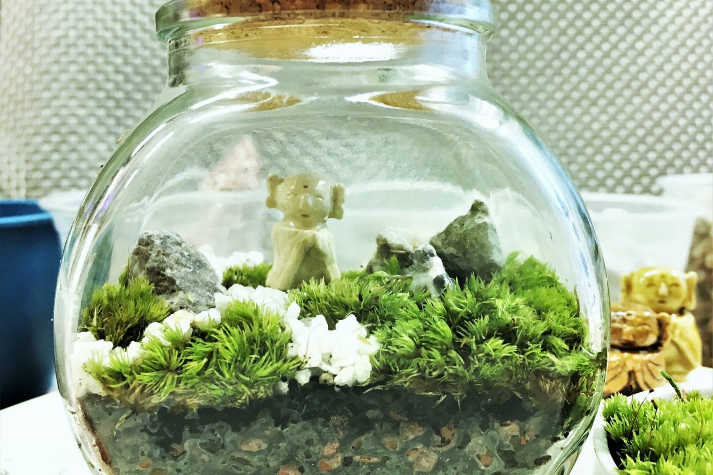 苔テラリウム