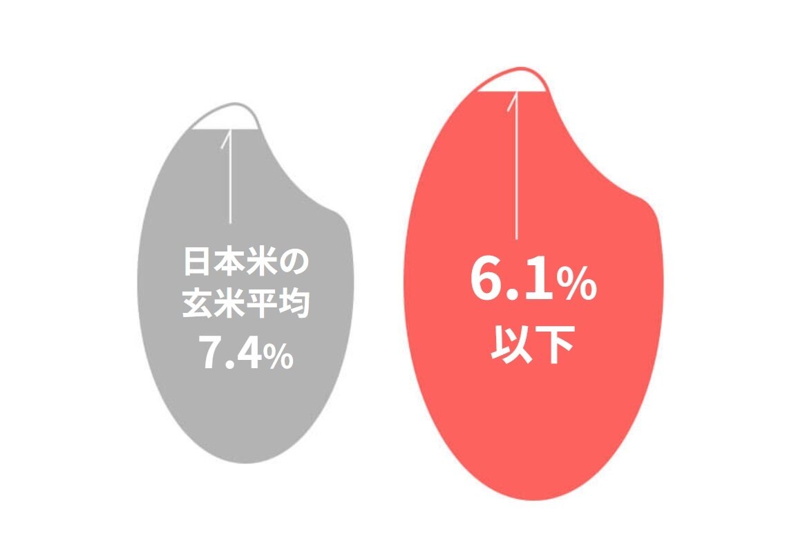 コシヒカリあさか舞