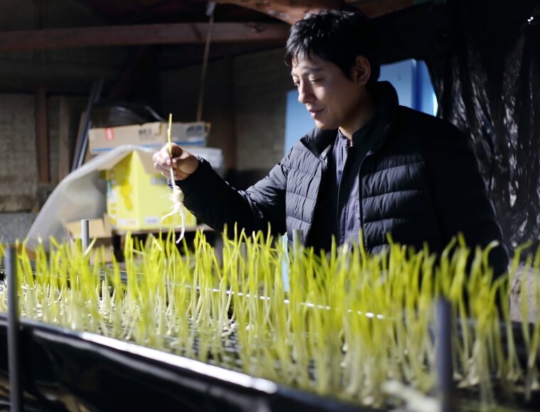にんにくを生産する野村さん