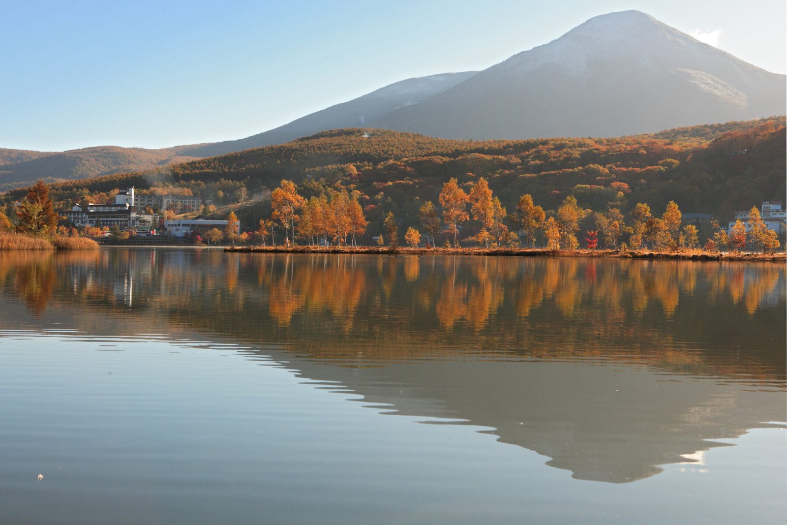 紅葉時期の白樺湖