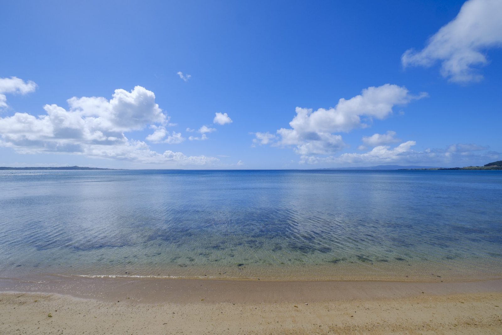石垣島の青い海