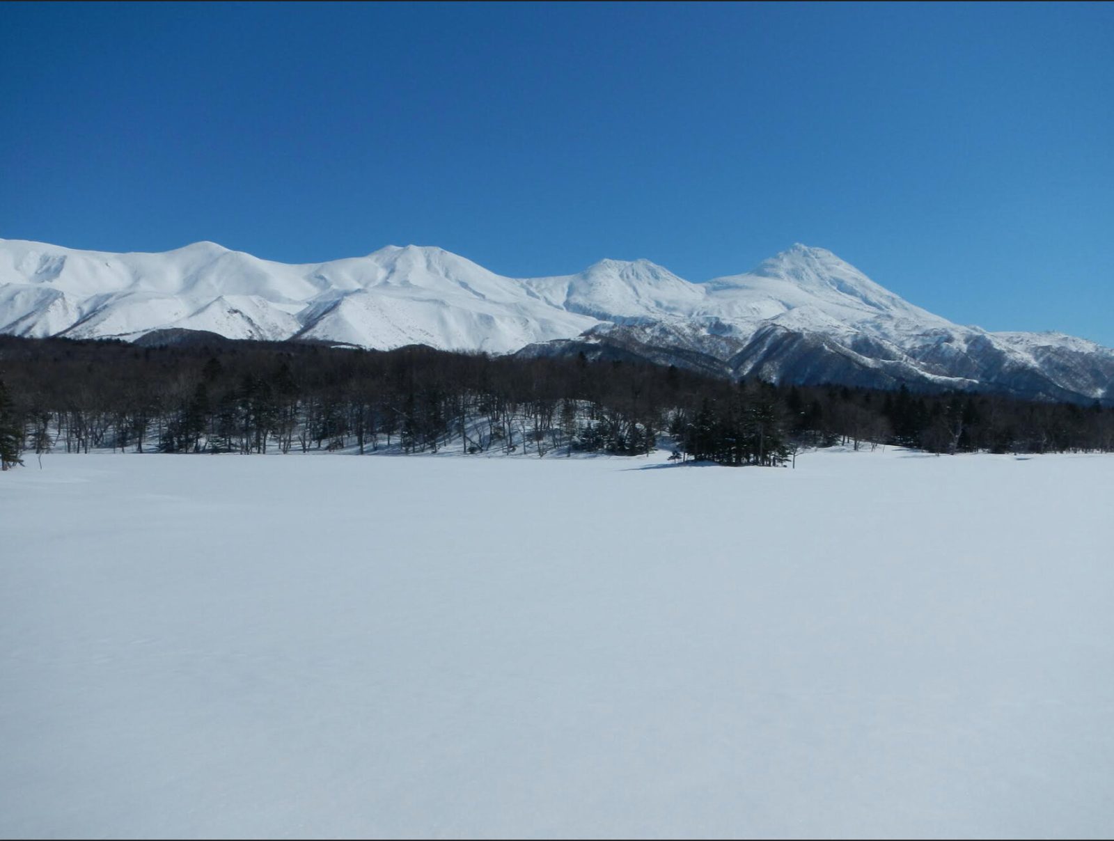 冬の知床
