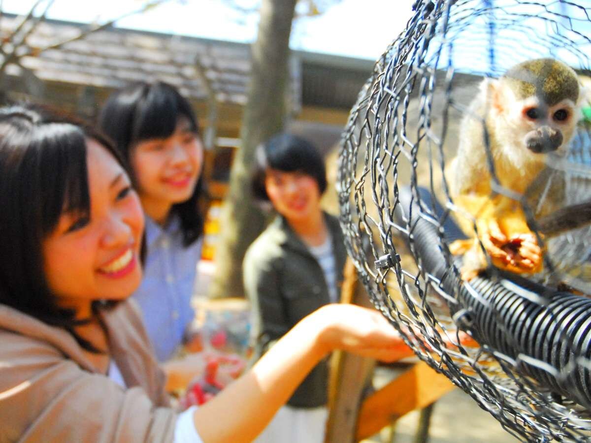 ふれあい動物王国のリスザル