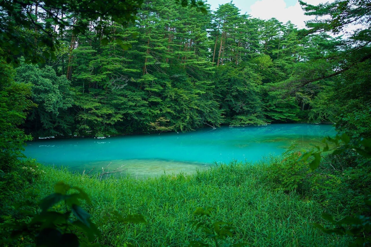 緑鮮やかな五色沼