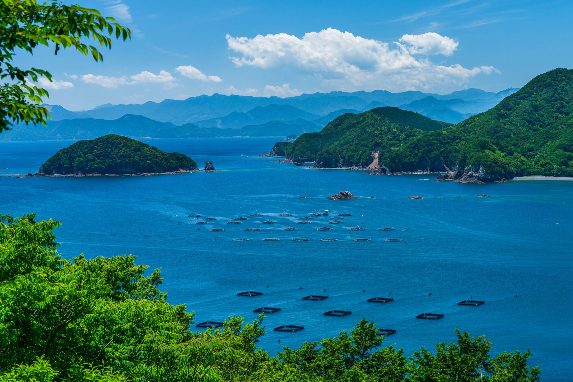大紀町はどんな町？観光名所や特産物など
