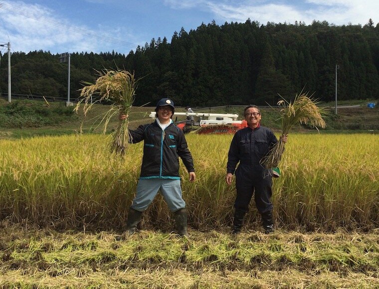山燕庵の米農家