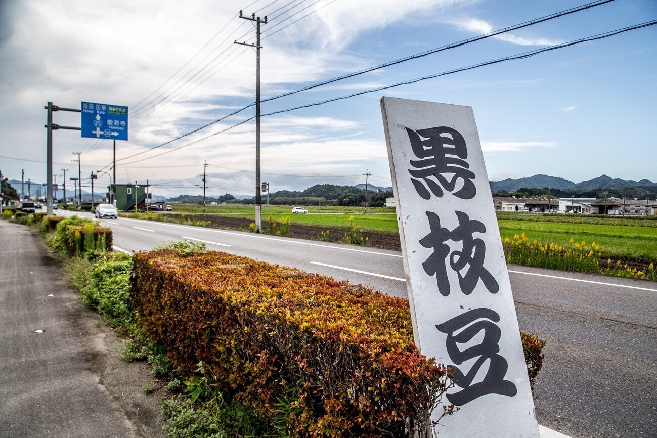 沿道に設置された黒枝豆の看板