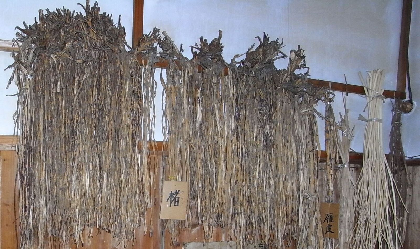 土佐和紙　原料