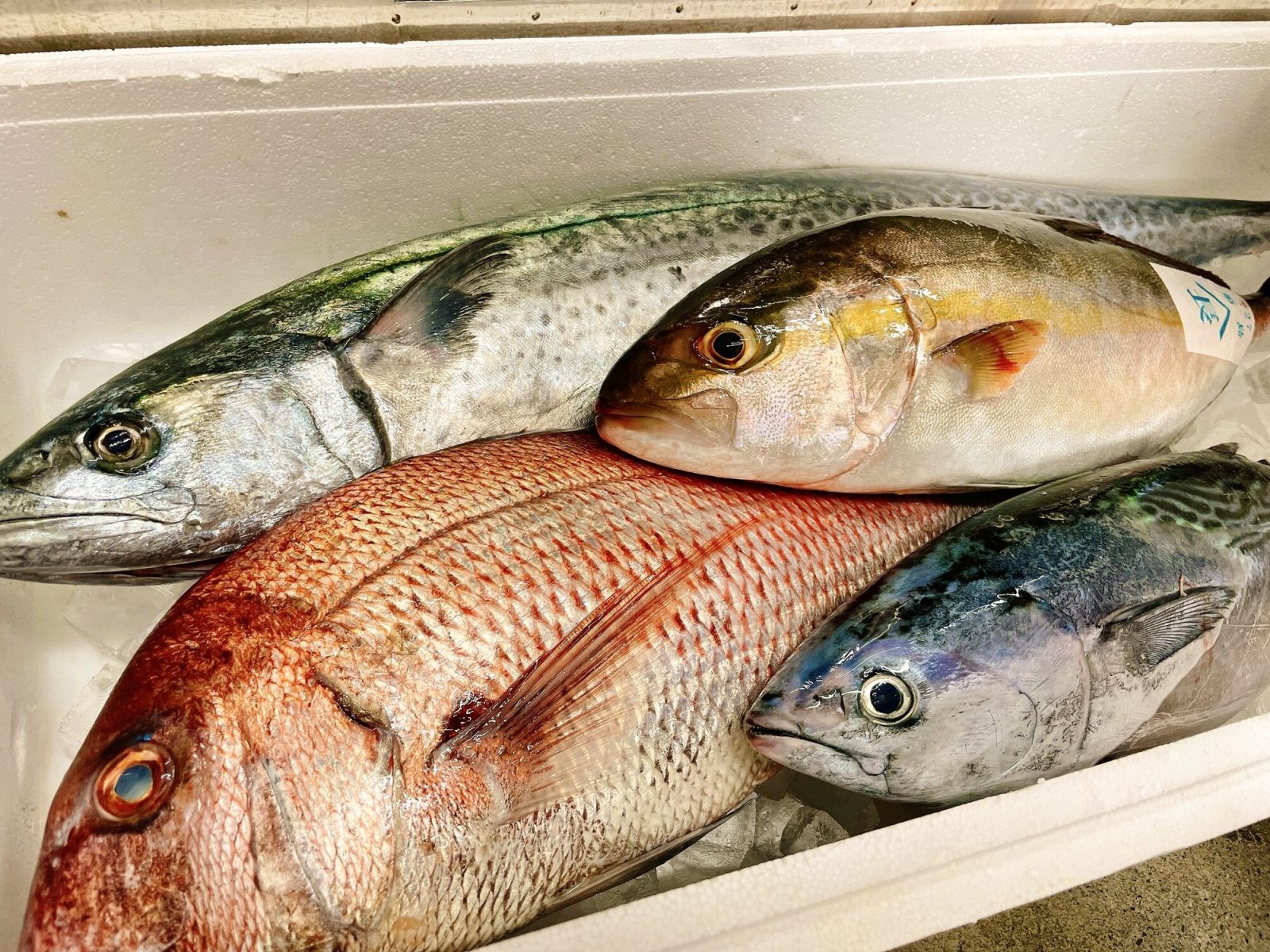 津波鮮魚店