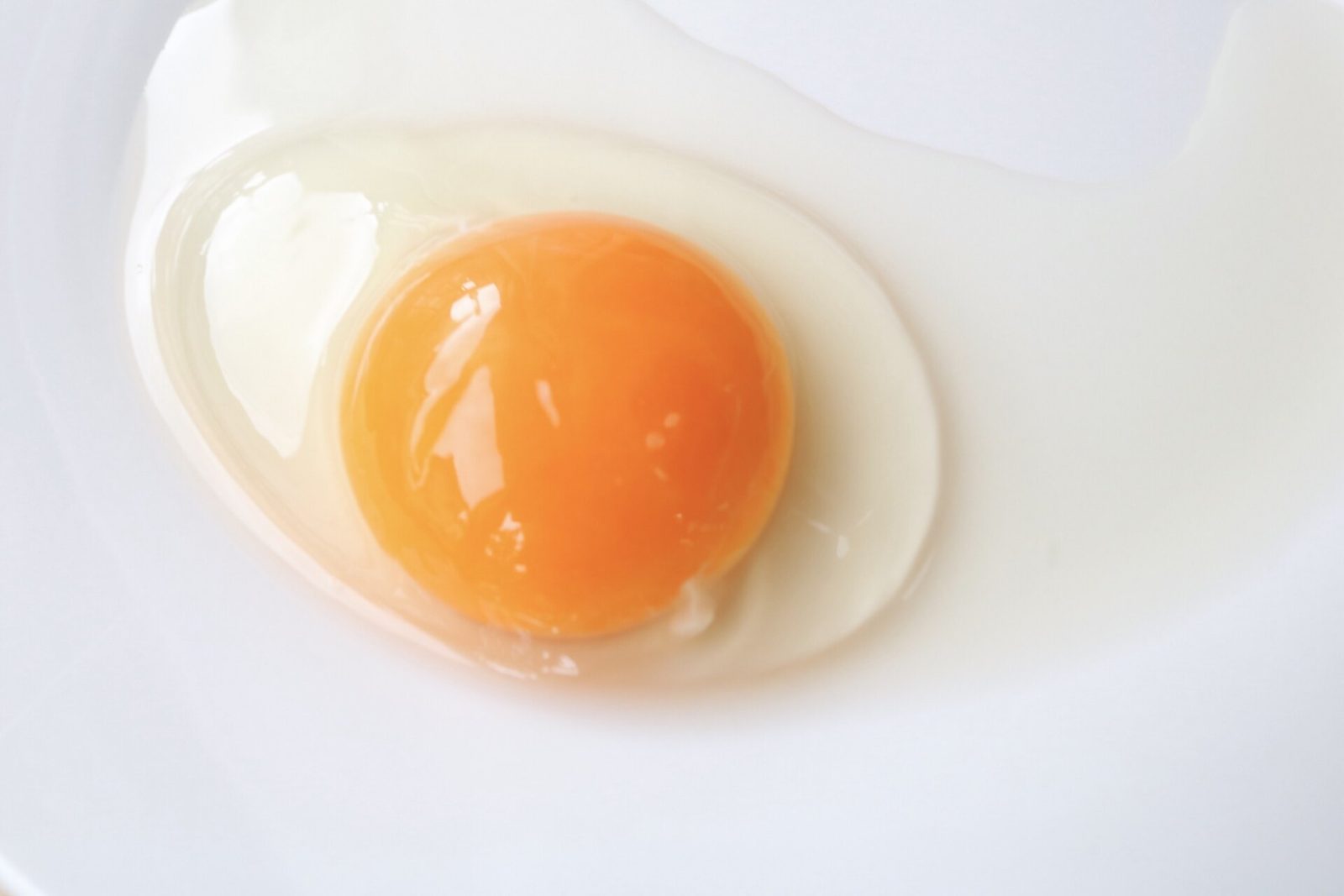 せんねんの木に使用されるぷりんセスエッグイメージ