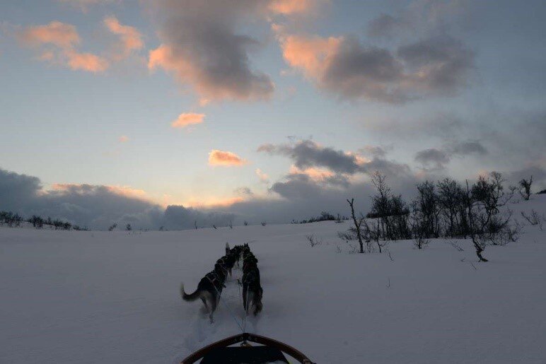 北欧の雪原と空