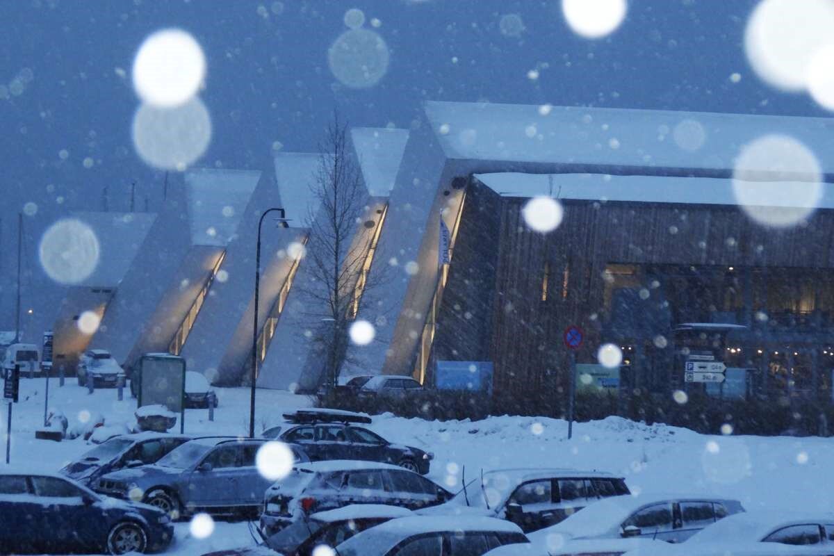 ストロボに幻想的に反射した雪の粒子