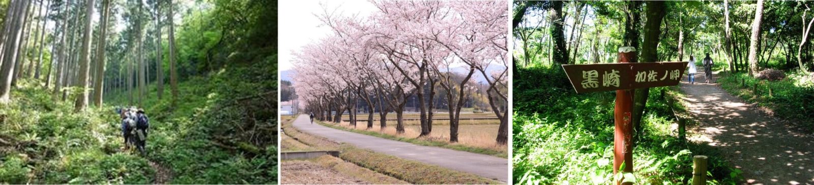 石川県「加賀の國」の春のお出かけスポット「観音山」「健康ロード」「加賀海岸自然遊歩道」