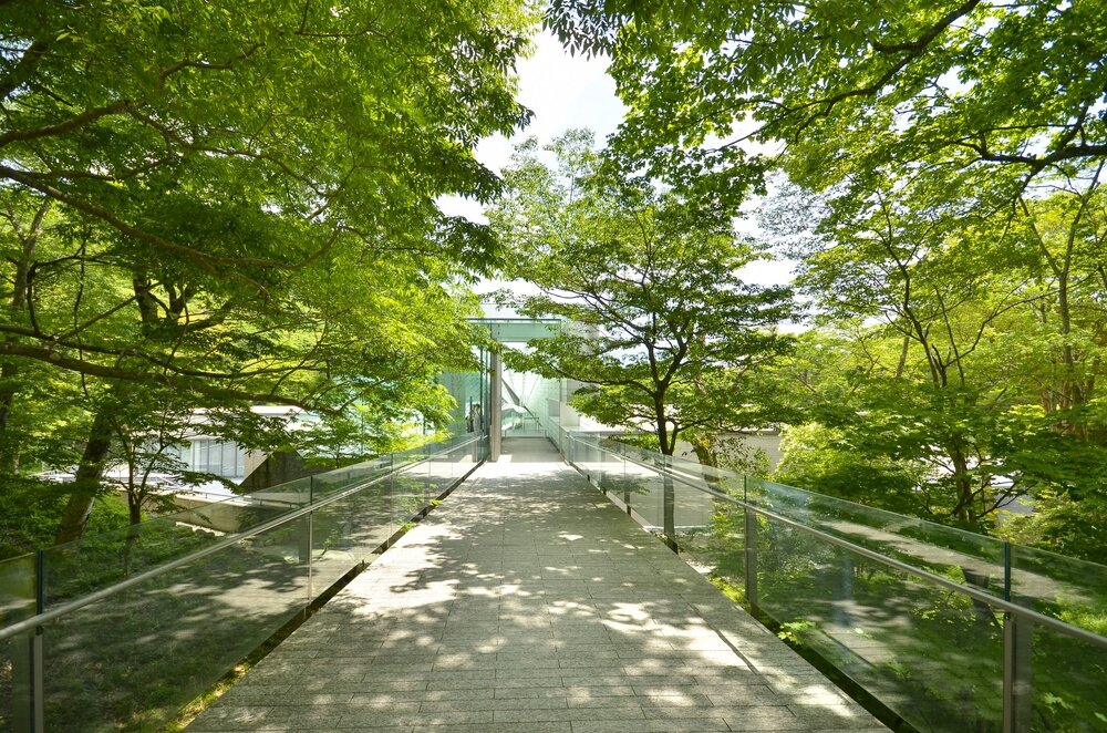 ポーラ美術館が開館20周年記念展を開催『モネからリヒターへー新収蔵作品を中心に』