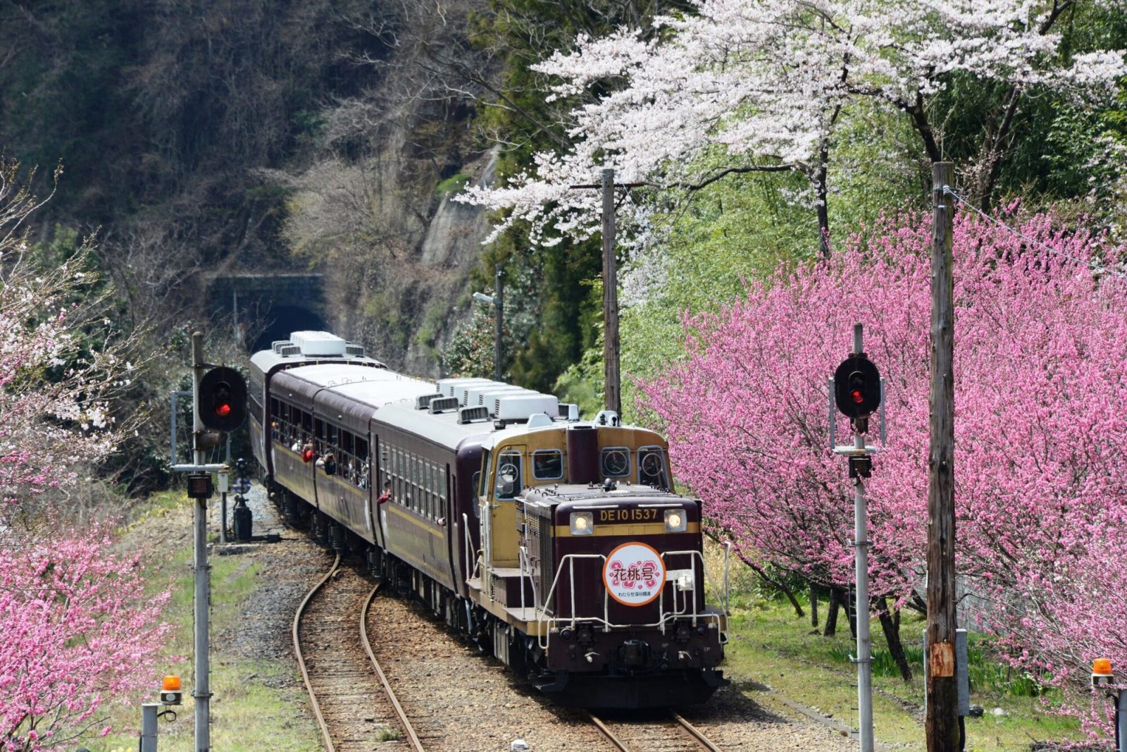 神戸を走るわたらせ渓谷鐵道