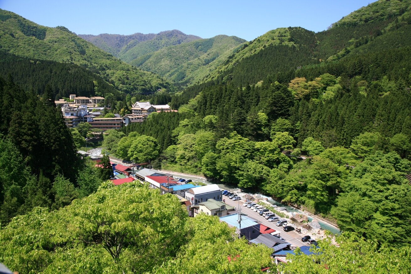 自然豊かな四万温泉の全景（夏）