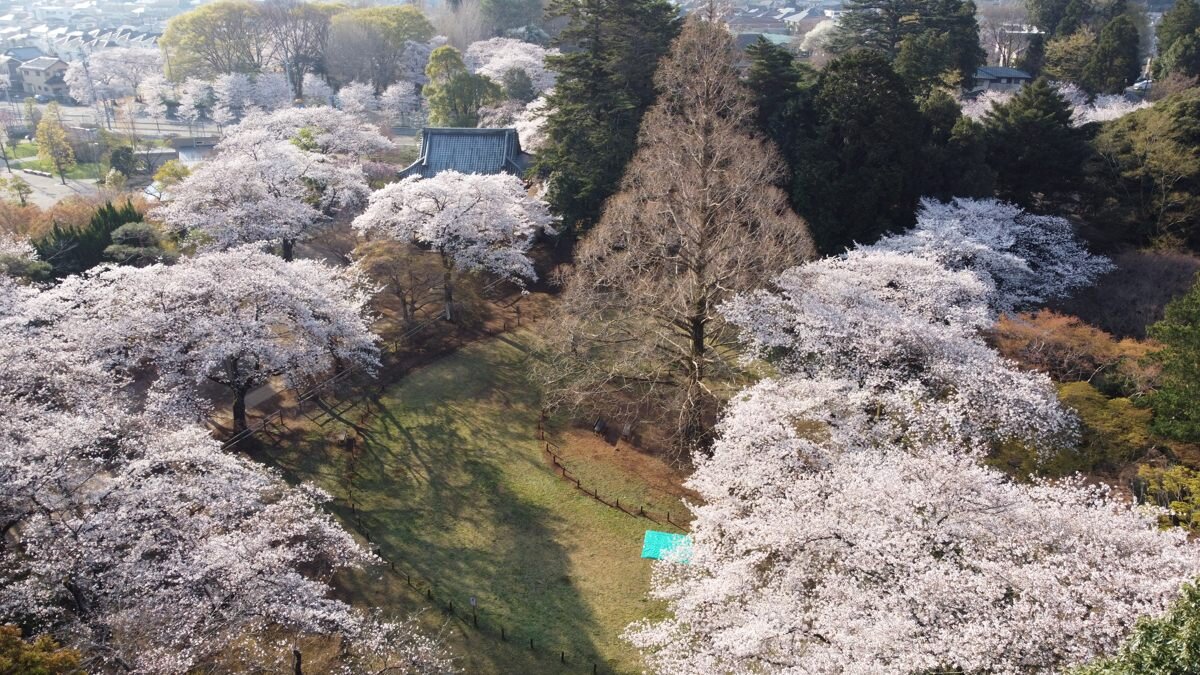 清水公園の仁王門を入ってすぐの広場