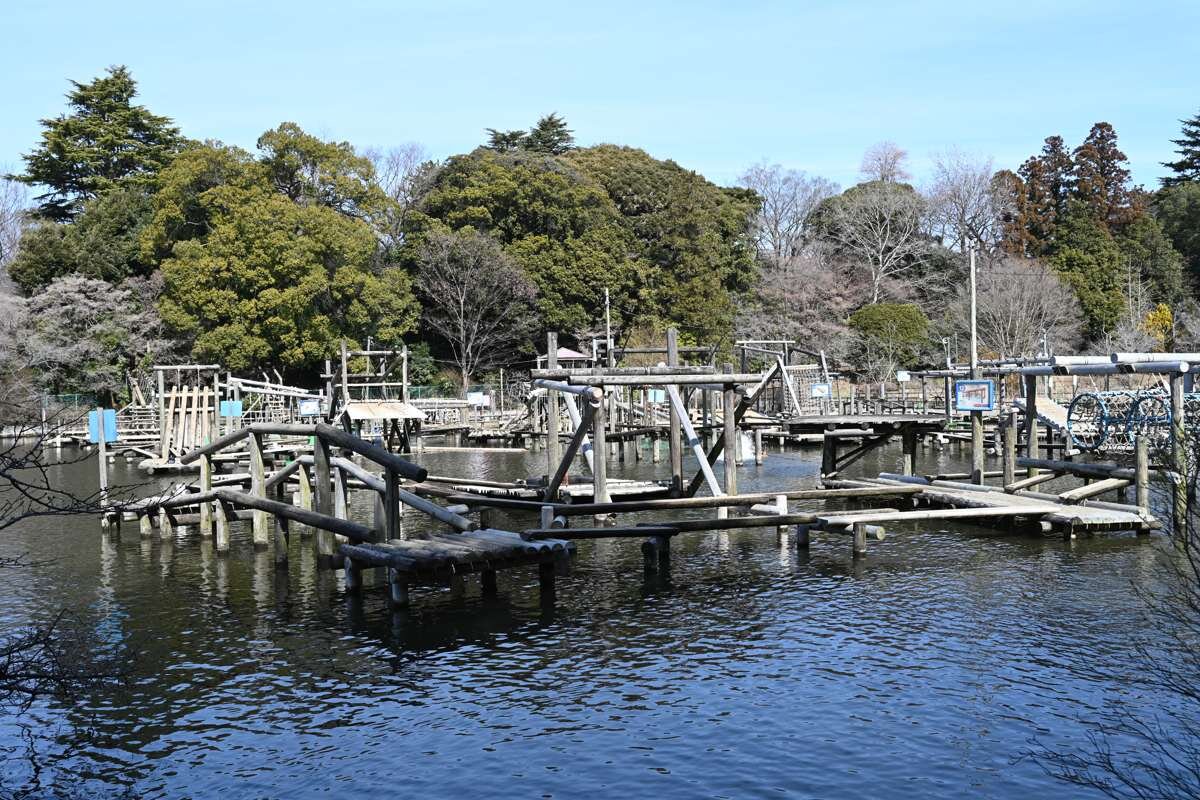 清水公園のフィールドアスレチック