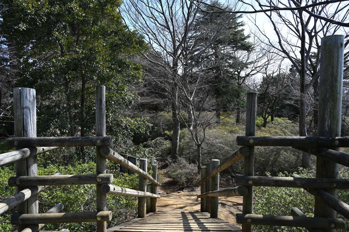 清水公園の展望ポイント