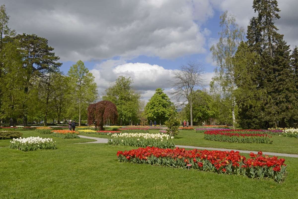 モルジュのアンデパンダンス公園に広がる色鮮やかな花畑