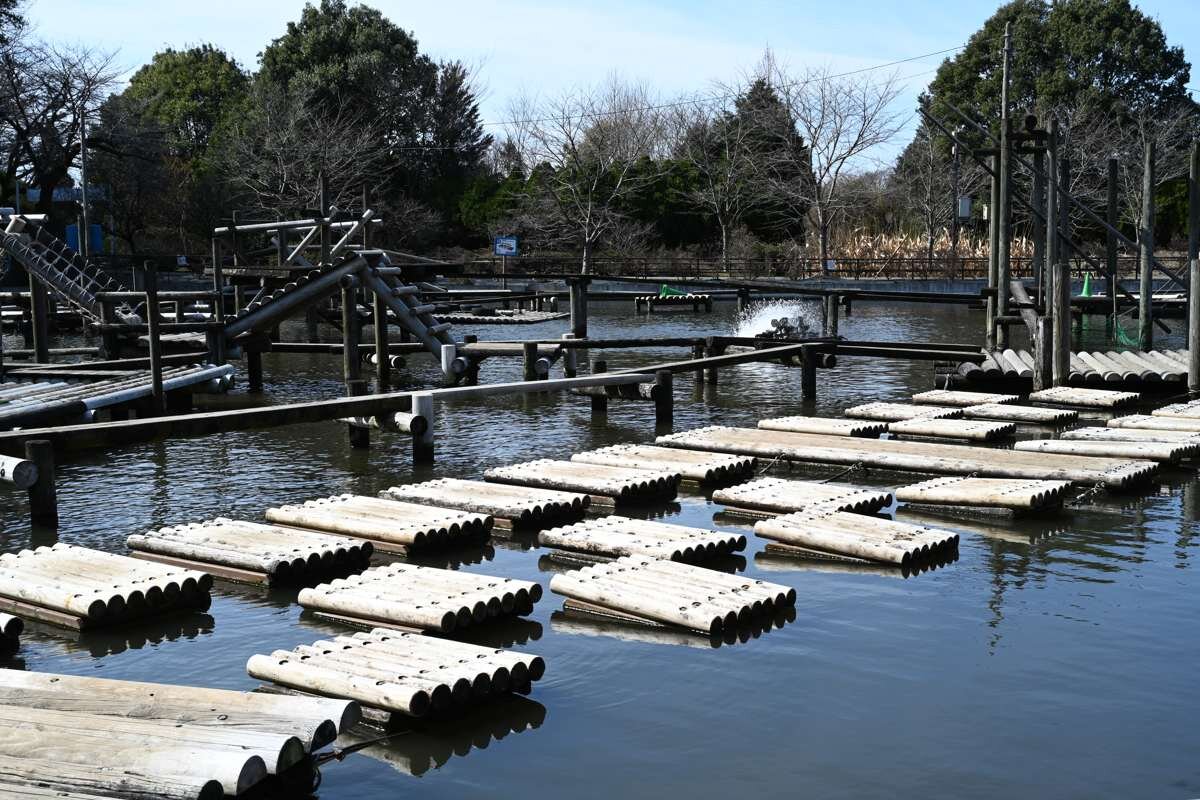 清水公園の水面走り