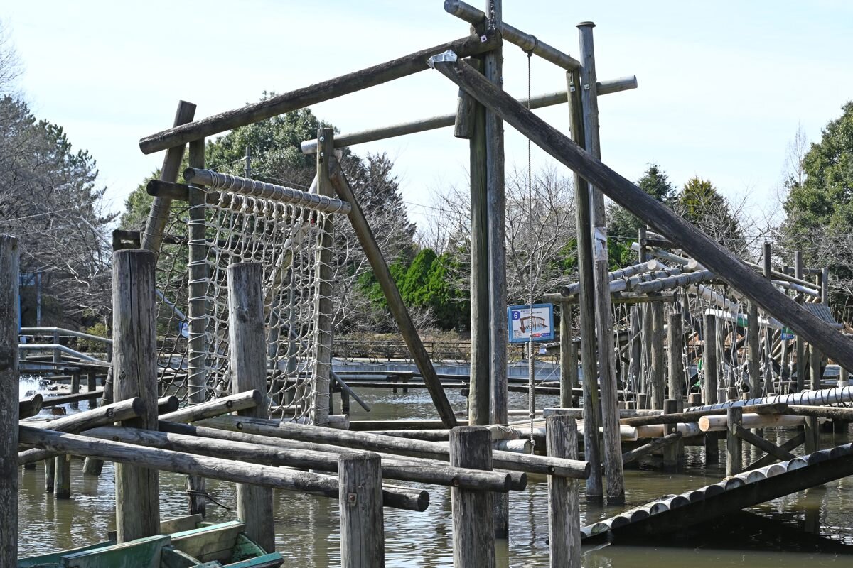 清水公園の水上ターザン