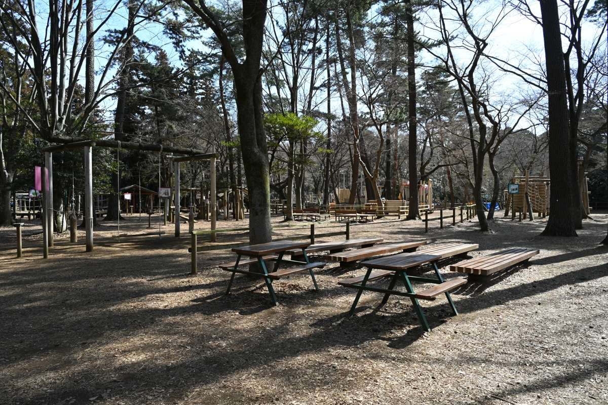 清水公園の自然の中にあるアスレチックフィールド
