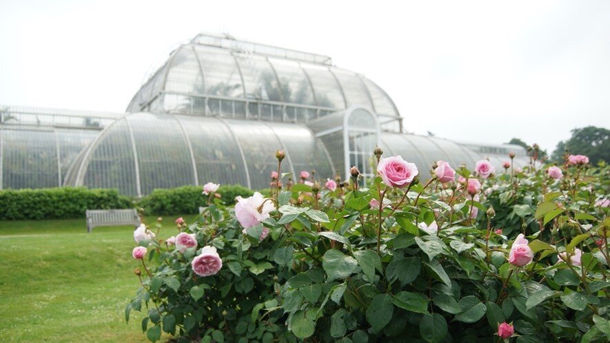 ロンドンのキュー王立植物園 Royal Botanic Gardens, Kew