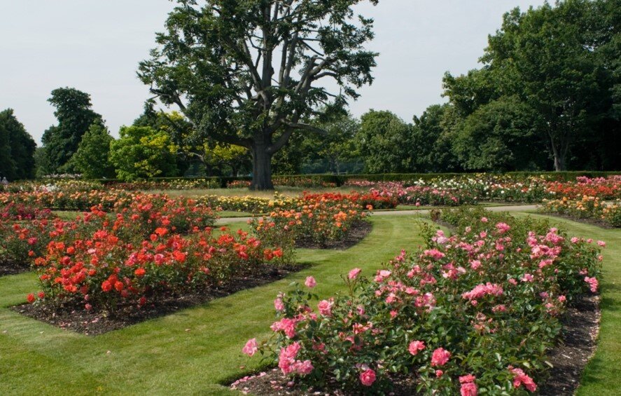 ロンドンのグリニッジ・パーク Greenwich Park
