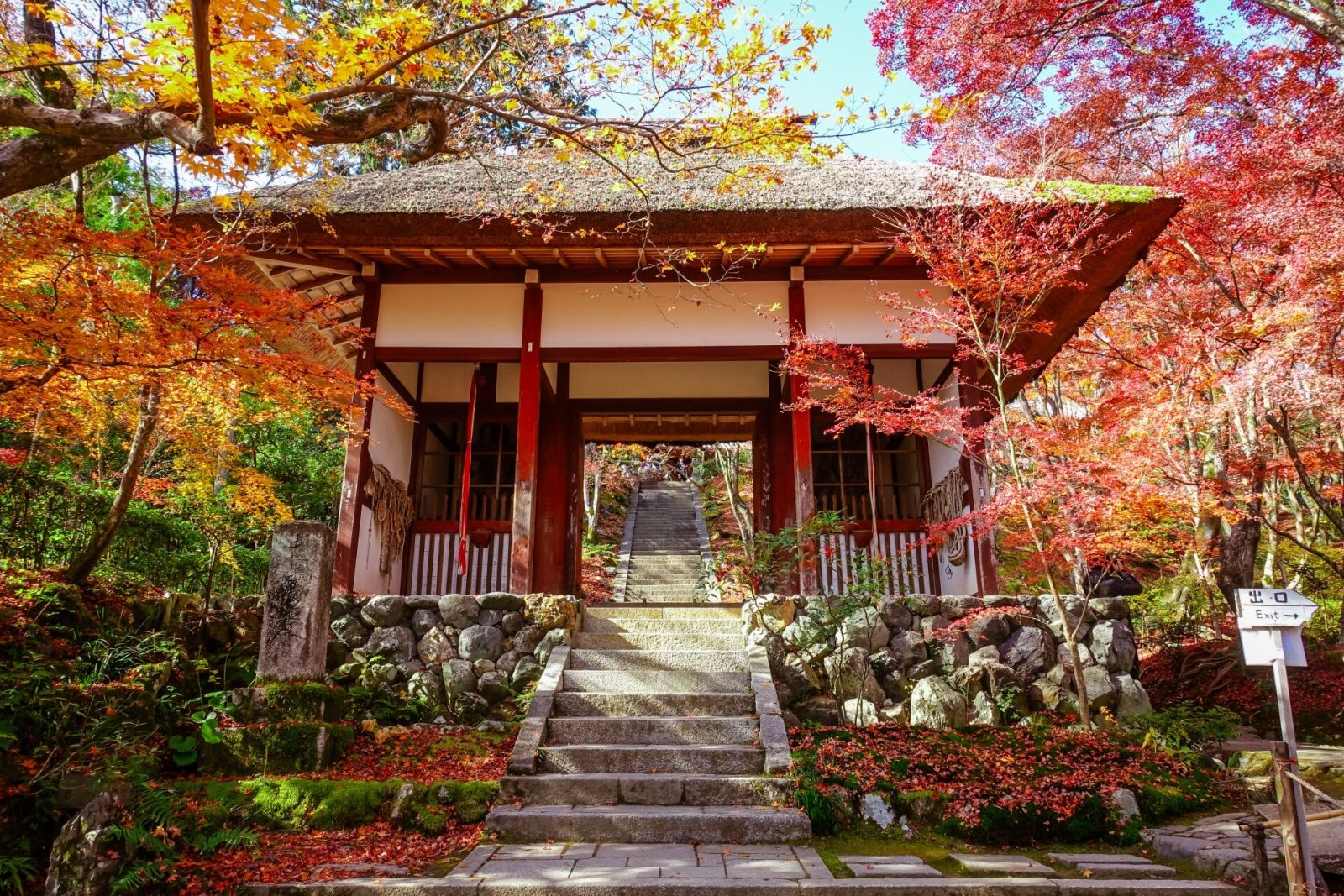 紅葉と常寂光寺