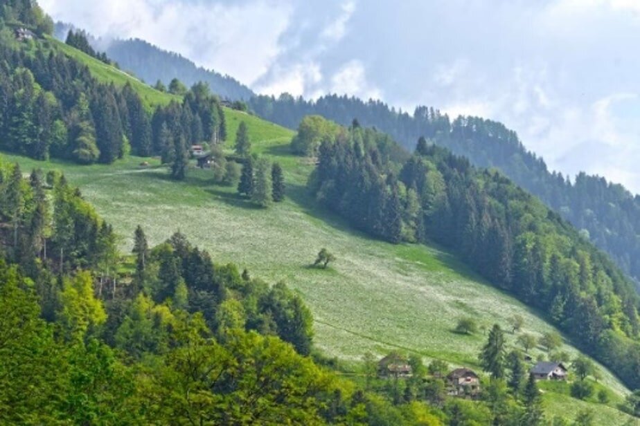 スイスの牧草風景