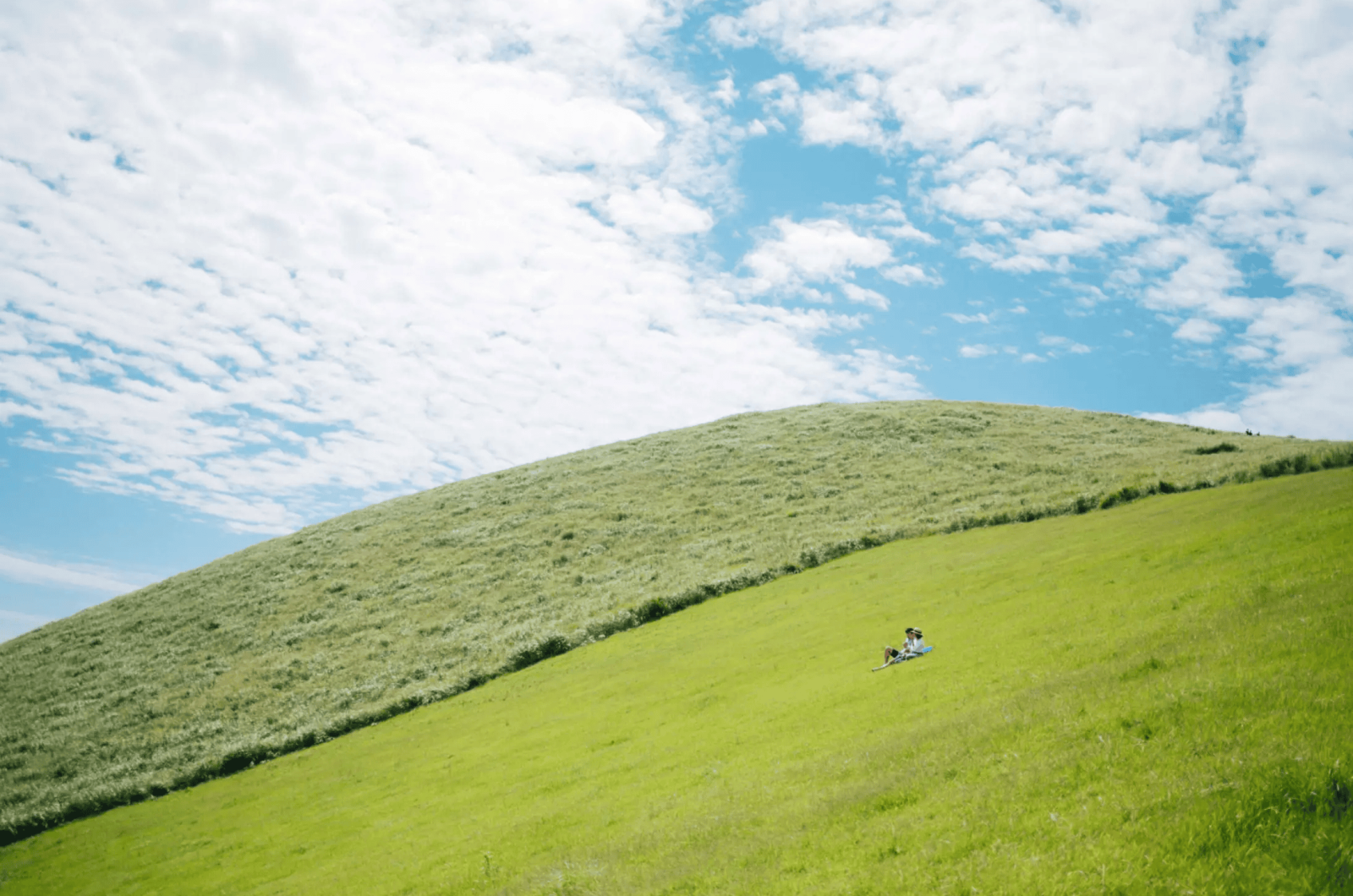 五島列島福江島の草原