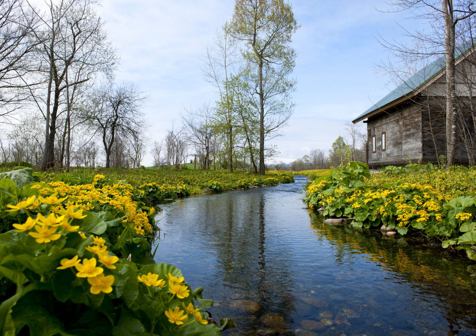 北海道ガーデン街道の六花の森
