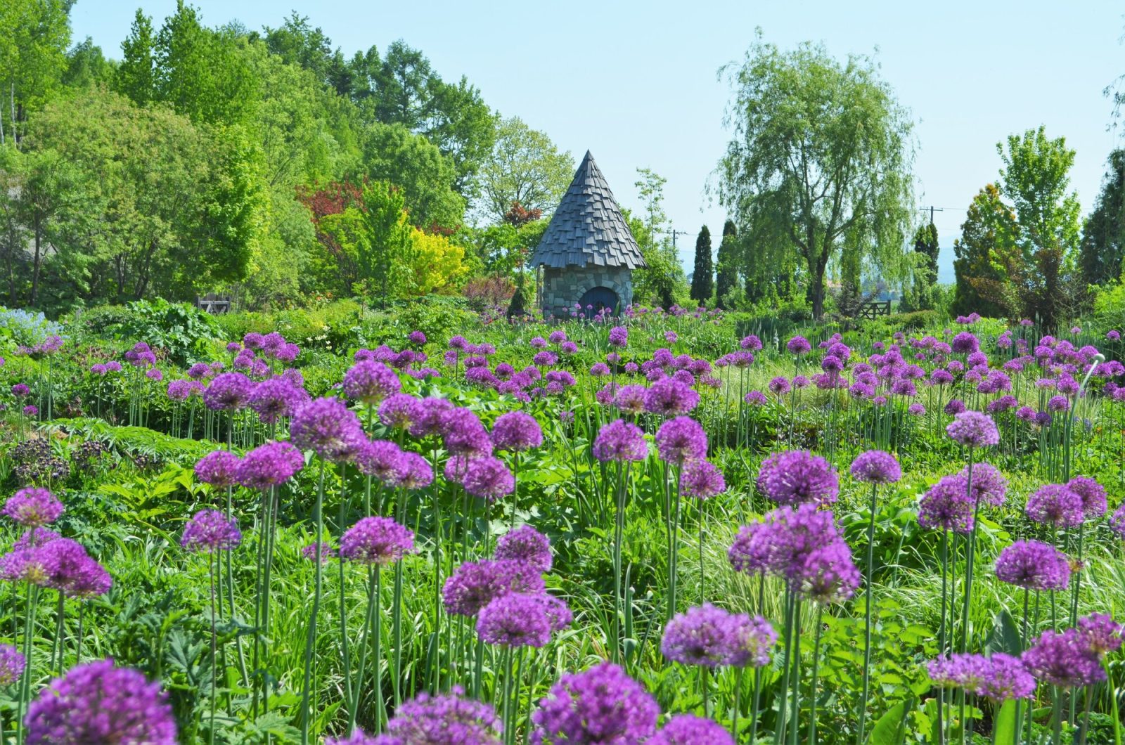 北海道ガーデン街道の上野ファーム