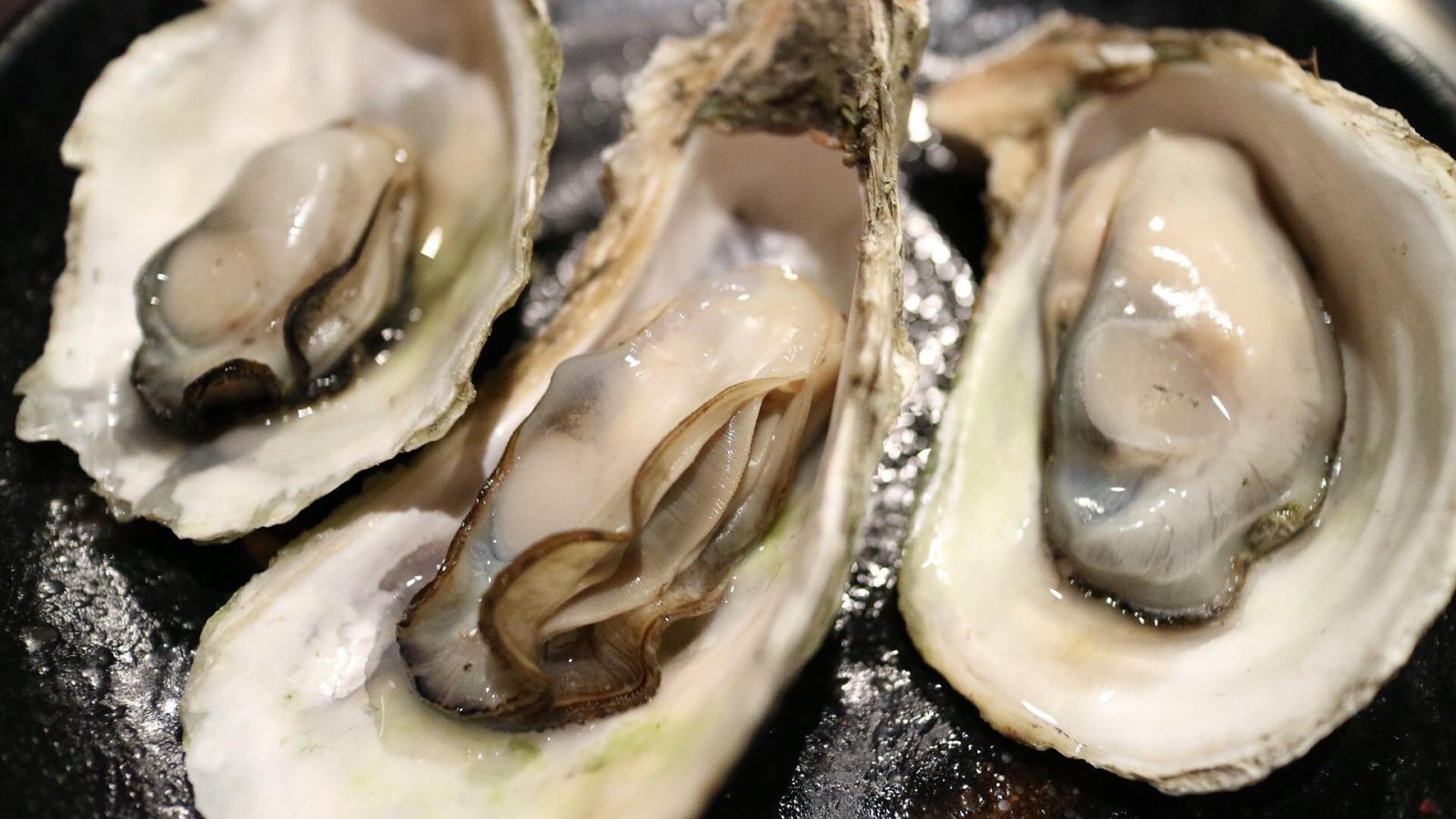 フランスのオレロン島の牡蠣