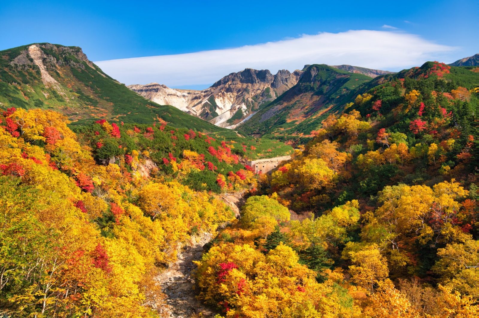 絶景ドライブで出会う北海道らしい紅葉の名所と宿6選