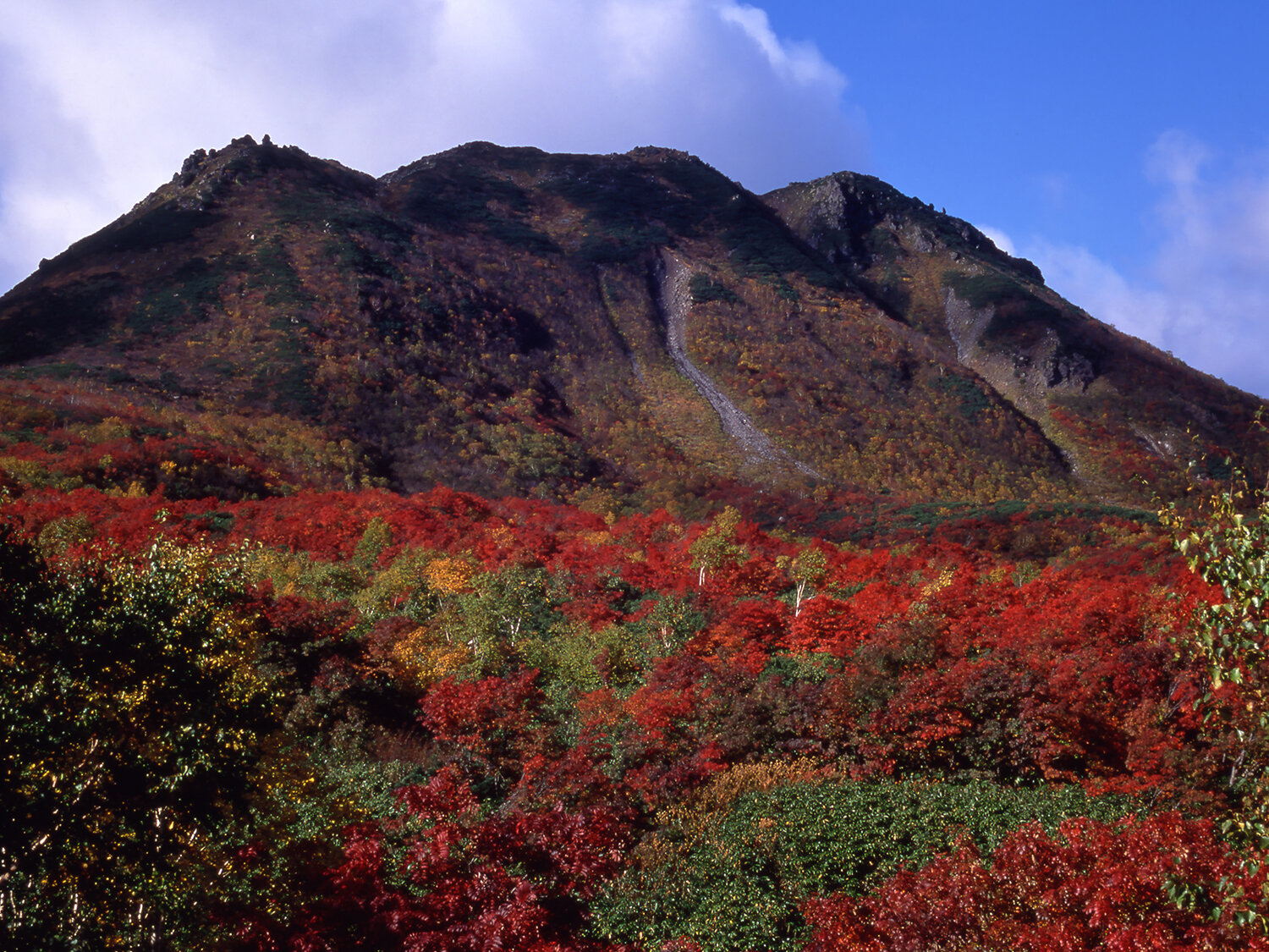 北海道イワオヌプリの紅葉