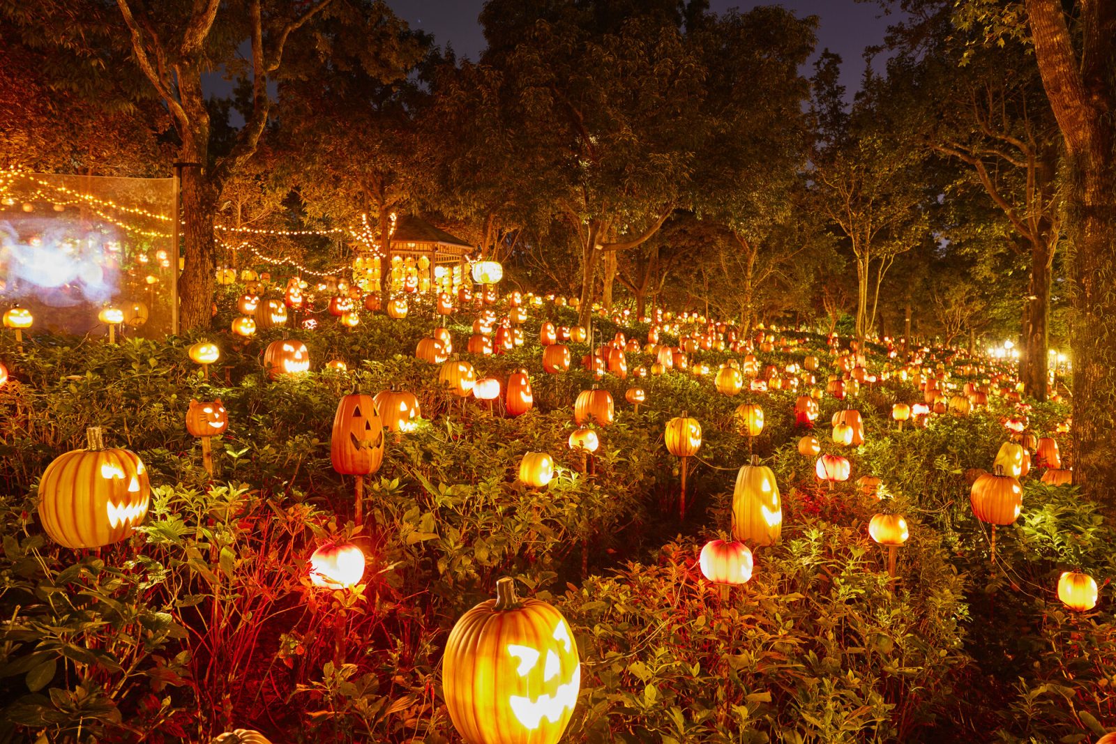 ハウステンボスのハロウィーンナイトウォーク