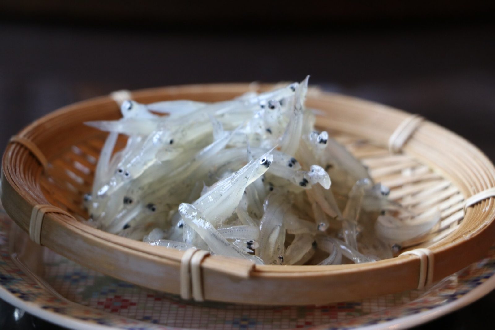 江の島で食べられる生しらす
