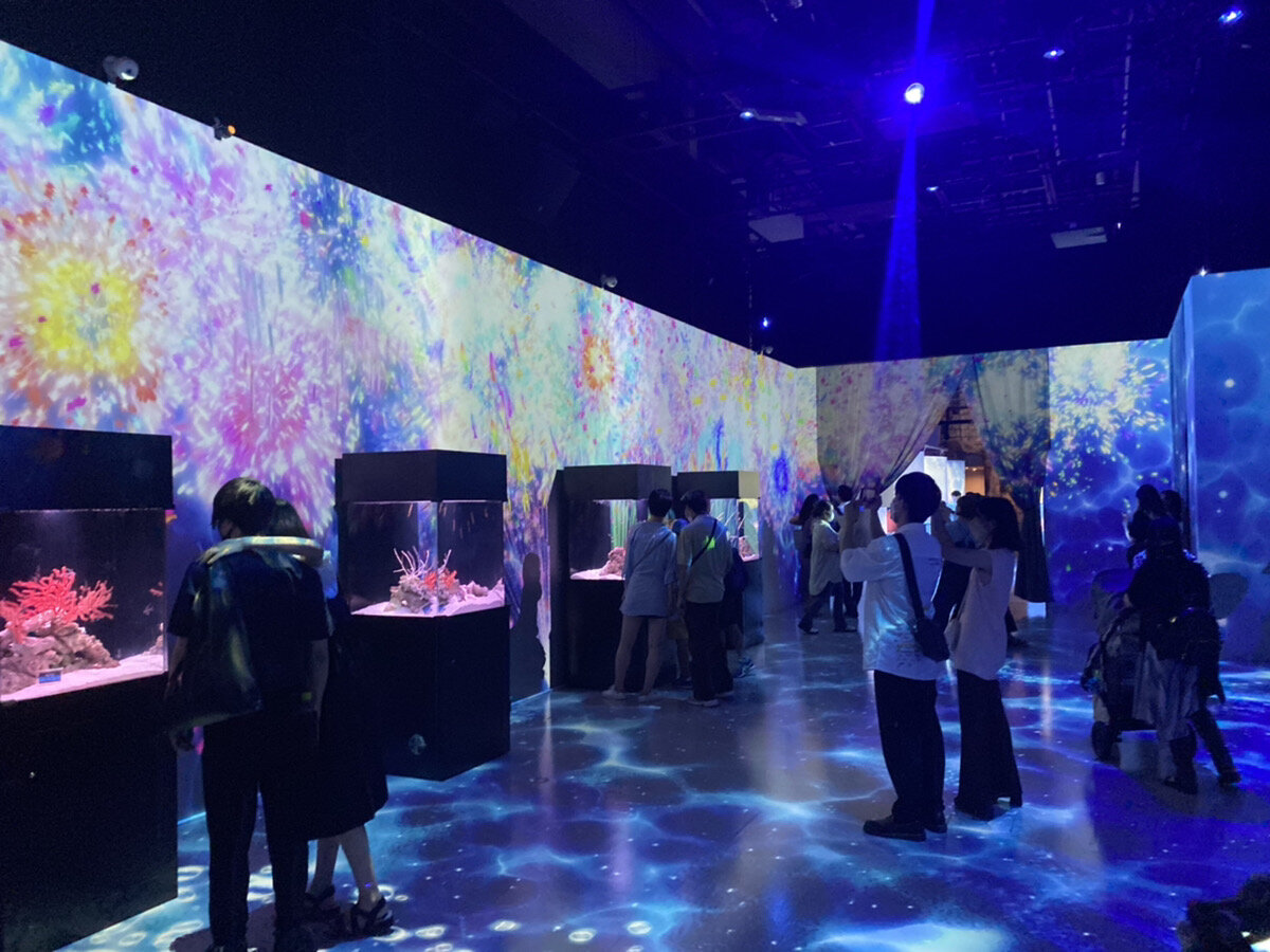 ryugu festivalの魚フェスティバル