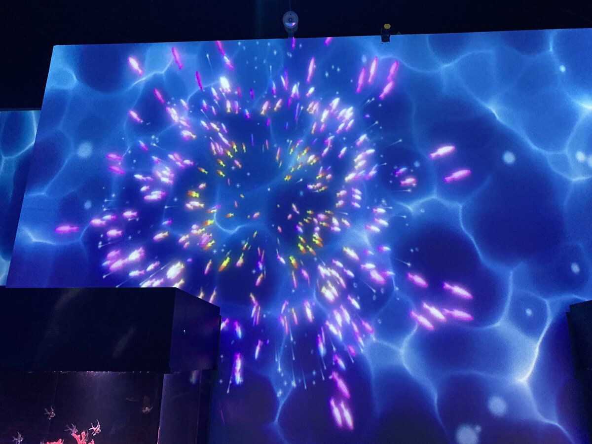 マクセルアクアパーク品川ryugufestivalのＵＯ ＨＡＮＡＢＩ-魚花火