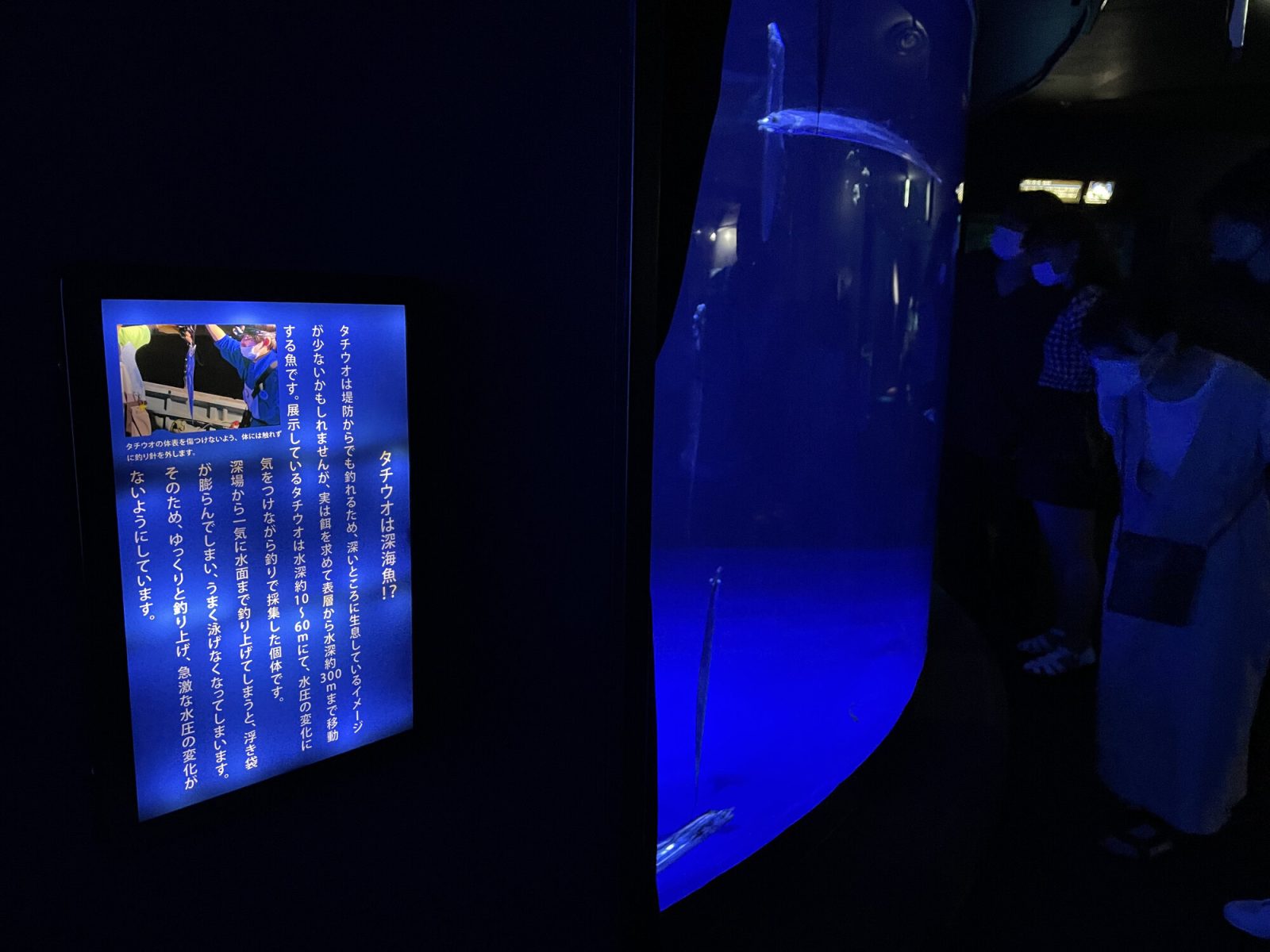 サンシャインシティ水族館の解説板