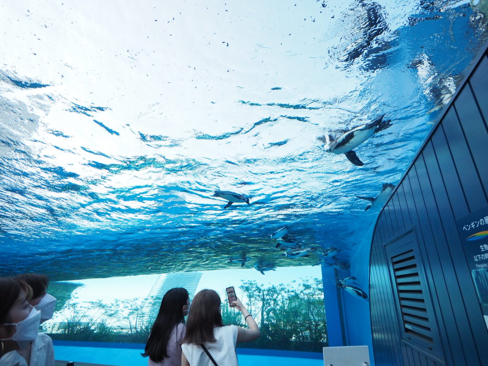 五感で楽しむスタイル都会のオアシス、サンシャイン水族館の魅力とは