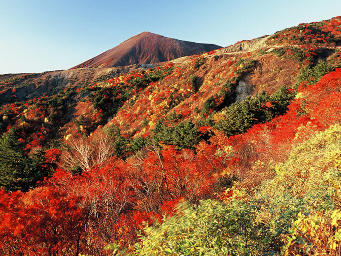 磐梯吾妻スカイラインの紅葉