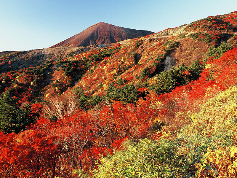 磐梯吾妻スカイラインの紅葉
