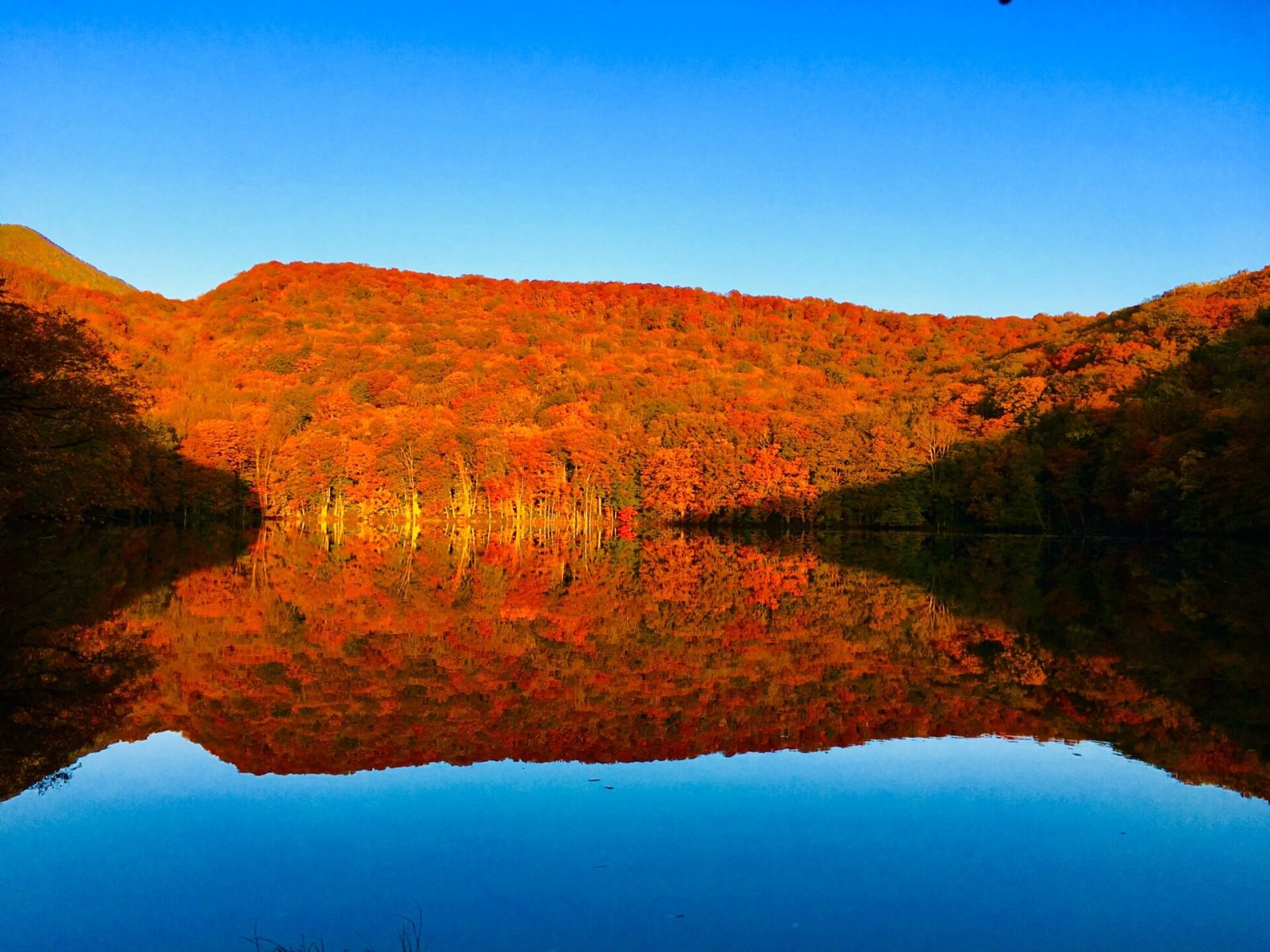 息をのむ絶景！空中散歩から温泉も楽しめるとっておきの東北紅葉12選
