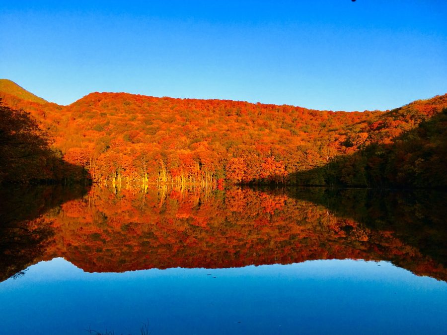 息をのむ絶景！空中散歩から温泉も楽しめるとっておきの東北紅葉12選