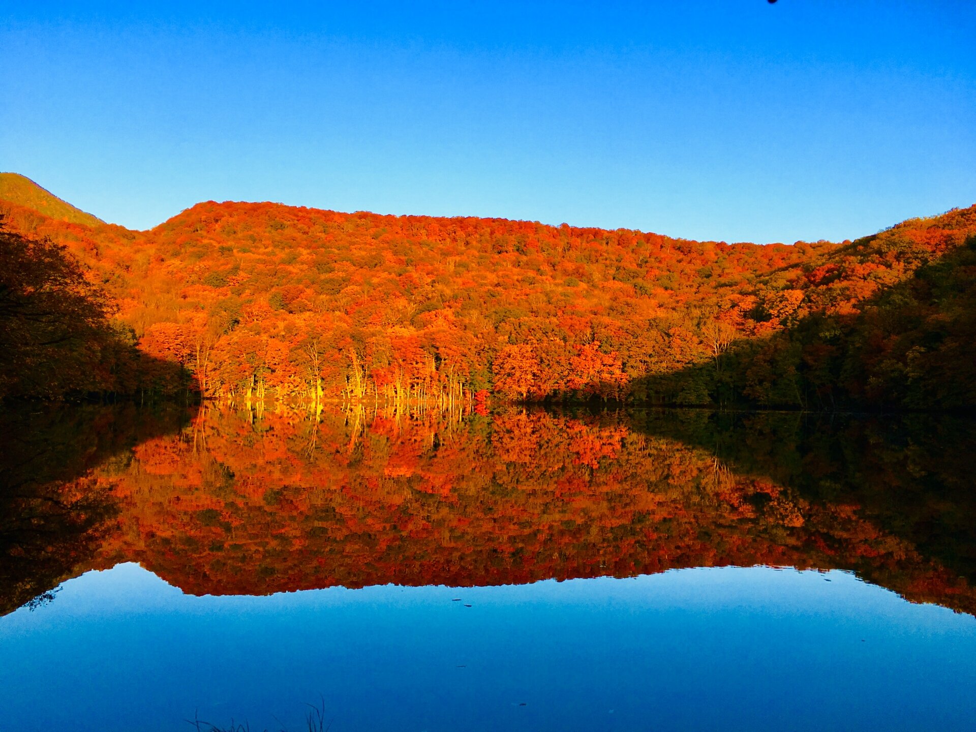 息をのむ絶景！空中散歩から温泉も楽しめるとっておきの東北紅葉12選