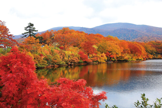 須川高原にある須川湖から見る紅葉