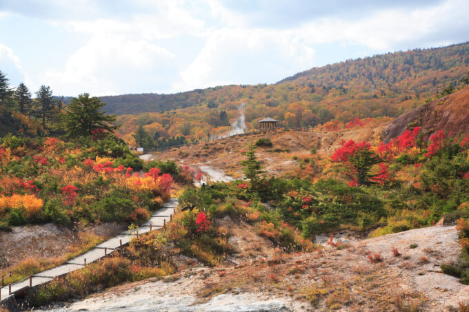 大沼・後生掛の紅葉